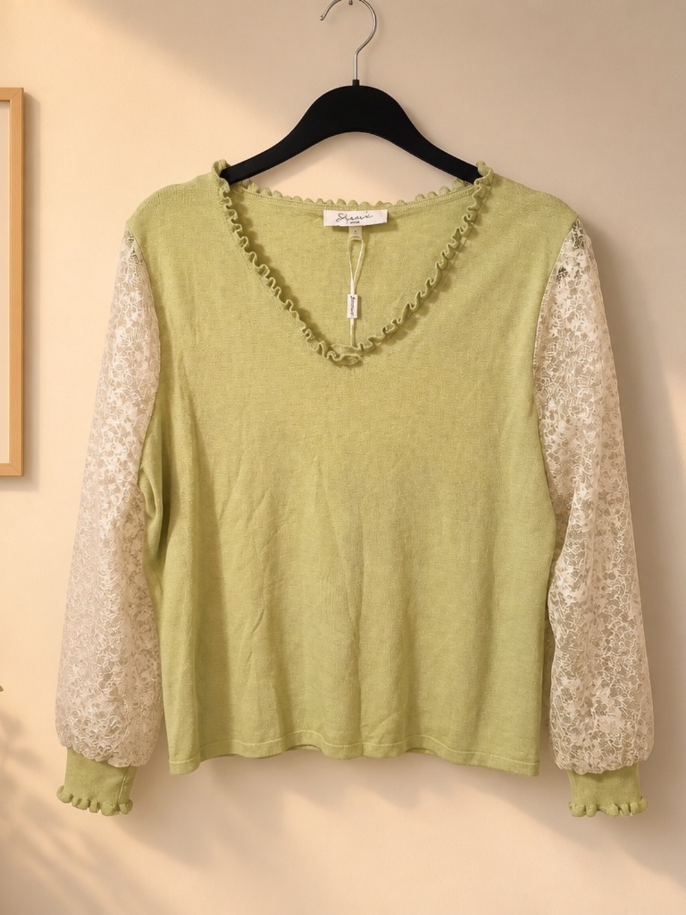 Delicate Lace-Sleeve V-Neck Sweater in Light Green